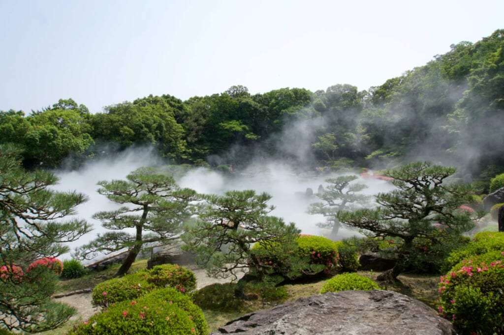 White mist drifts eerily upwards from a pond with Japanese style short trees in front.