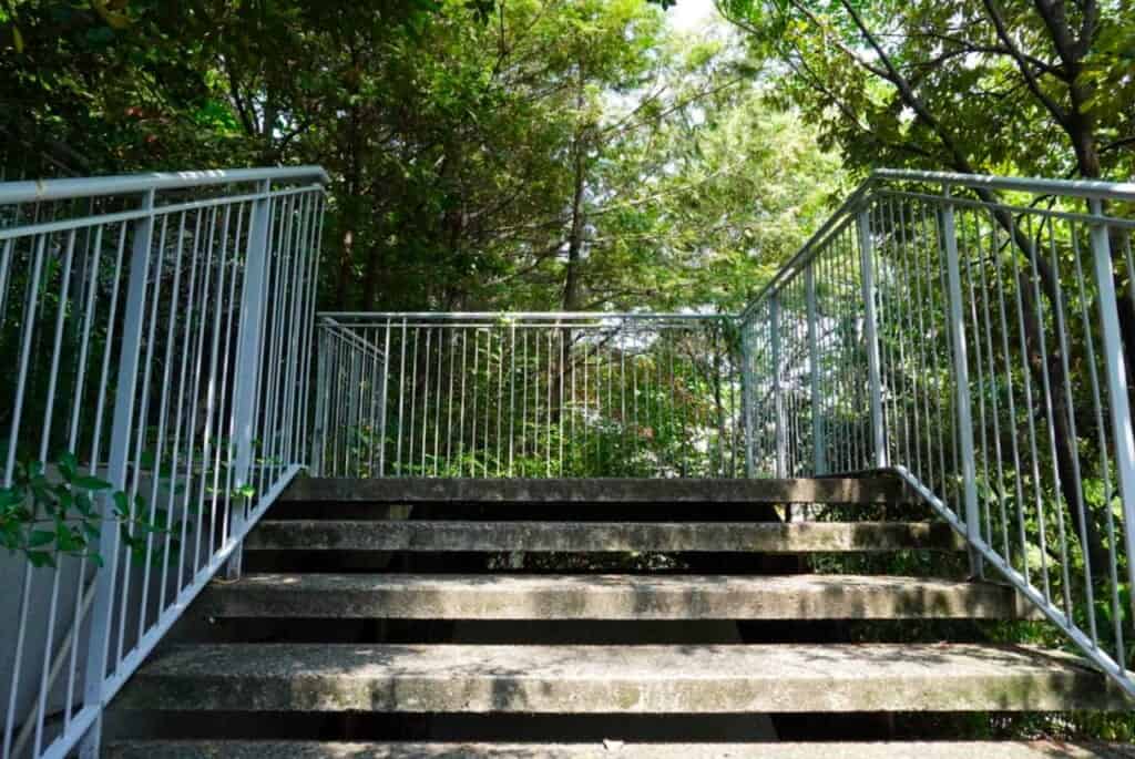 A sun-dappled staircase with trees surrounding it.