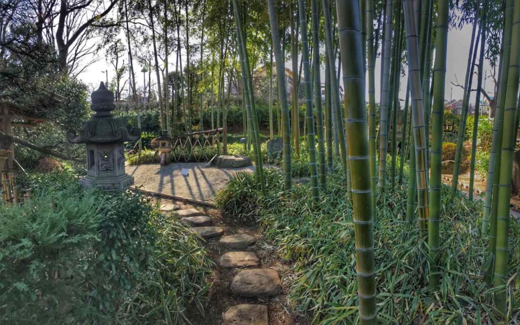 Bamboo garden at Akatsuka Botanical Garden