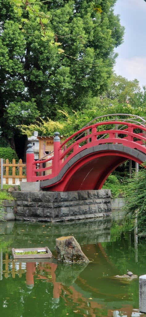 red bridge over a pond at kameido tenjin shrine