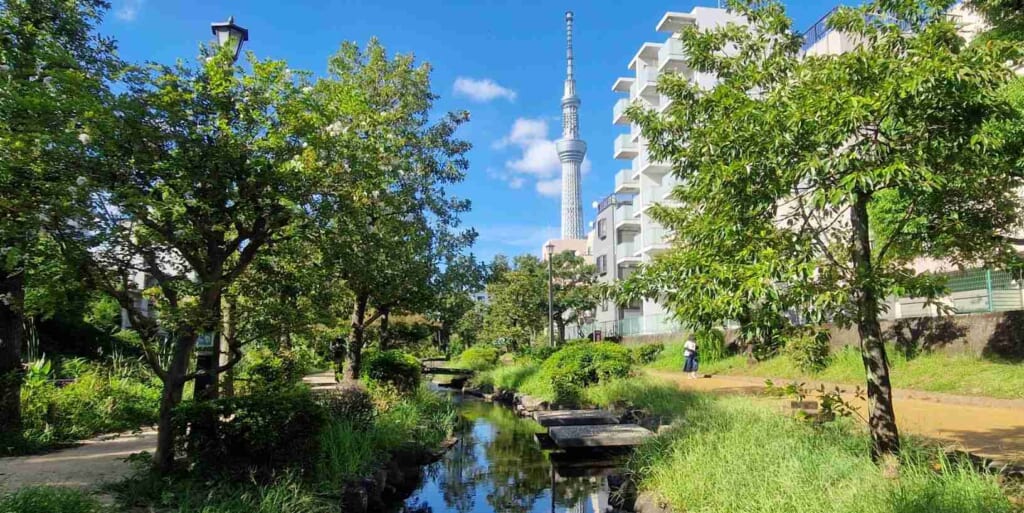 view of Tokyo Skytree from a park