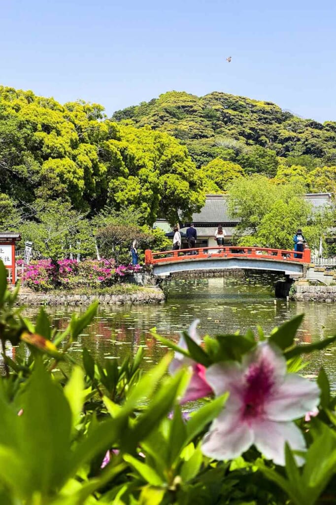 Tsurugaoka Hachimangu Pond