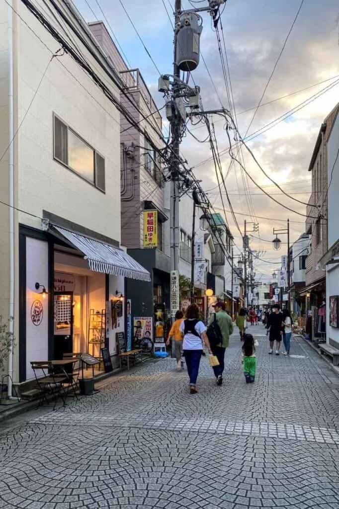 Shopping Street in Kamakura