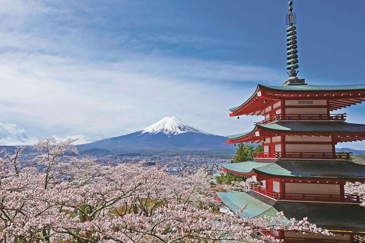 Chureito Pagoda with Fuji during cherry blossom