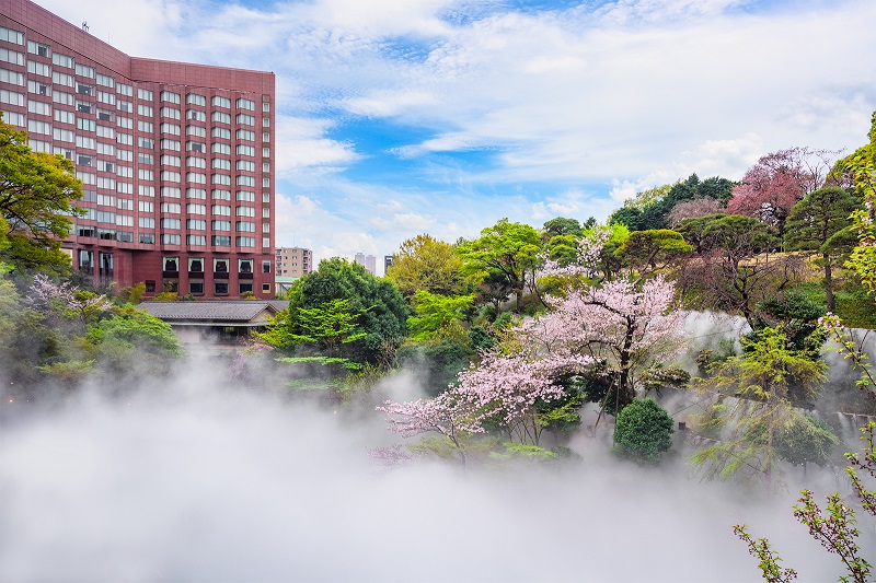 Cherry blossoms in the garden of the Hotel Chinzanso Tokyo