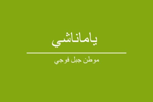 Yamanashi Logo Arabic