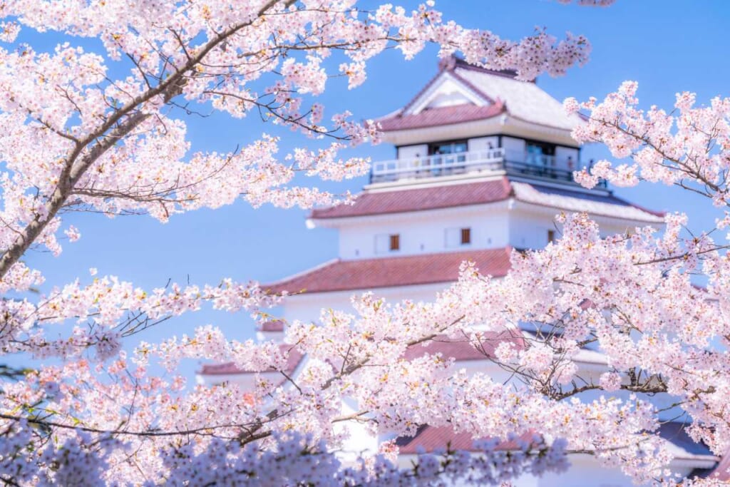  Tsurugajo Castle in Aizu Wakamatsu