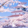 Cherry blossoms in Tohoku