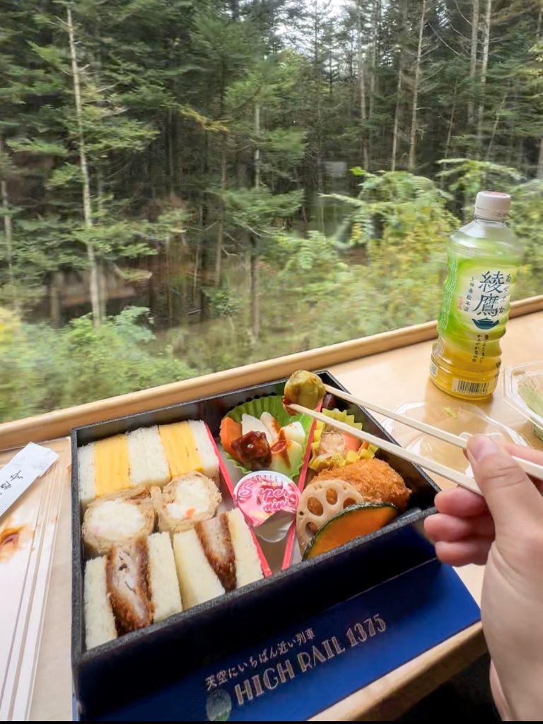 Eating lunch aboard the High Rail train 