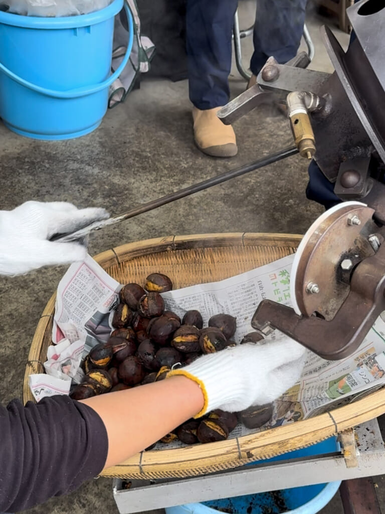 Roasted chestnuts in Obuse town