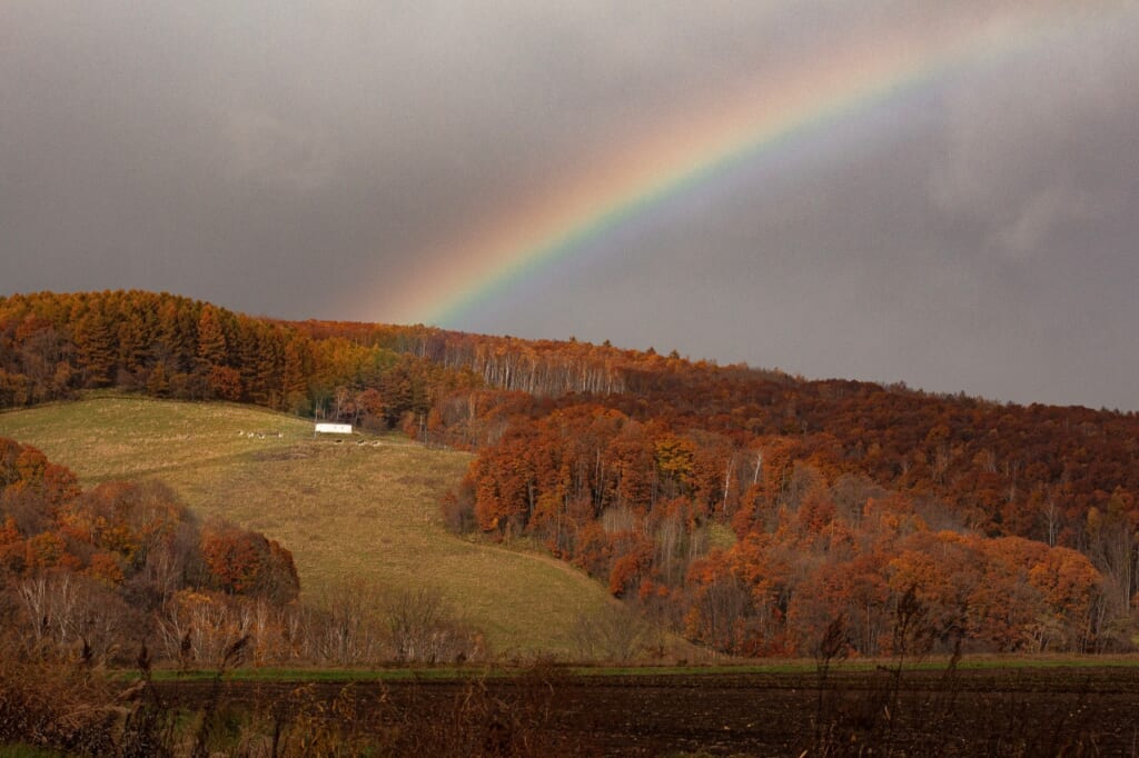 rainbow in Hokkaido