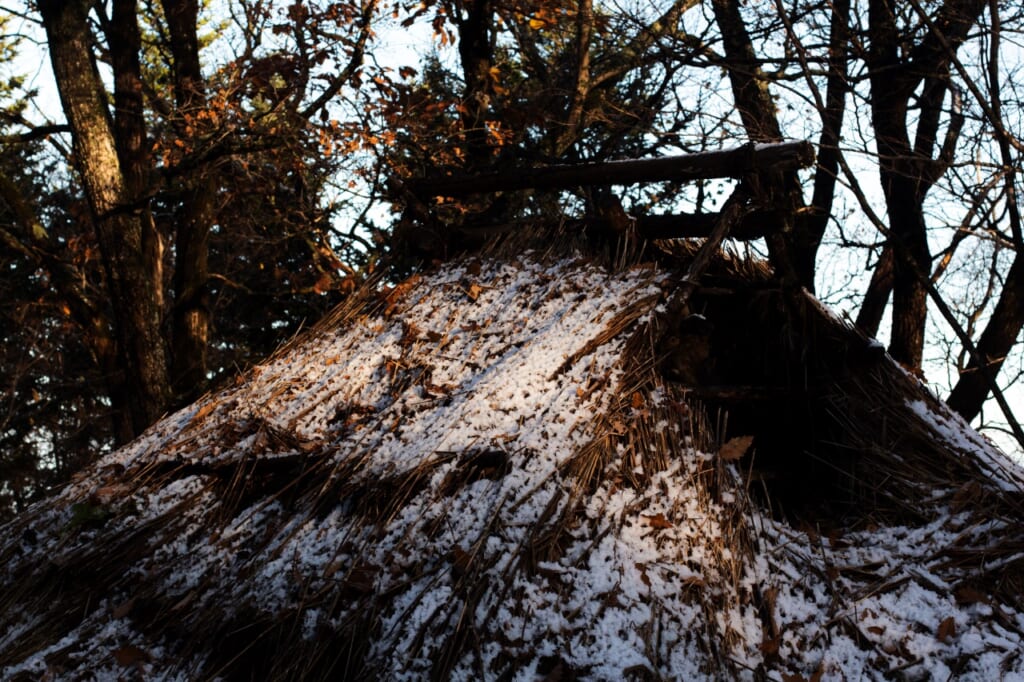 straw roofs with snow in japan