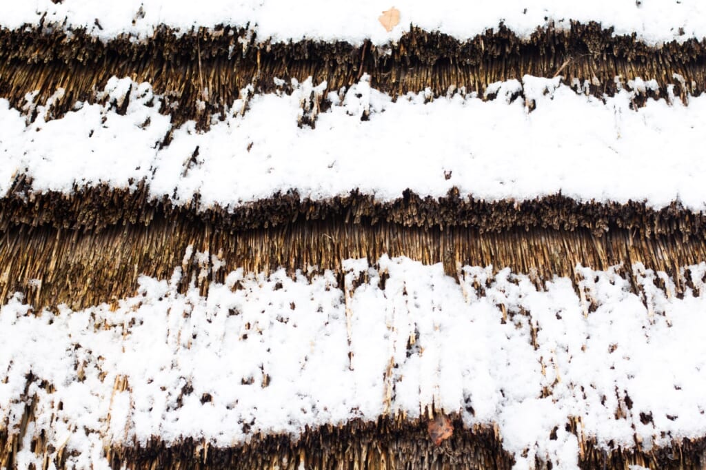 snow on straw roofs