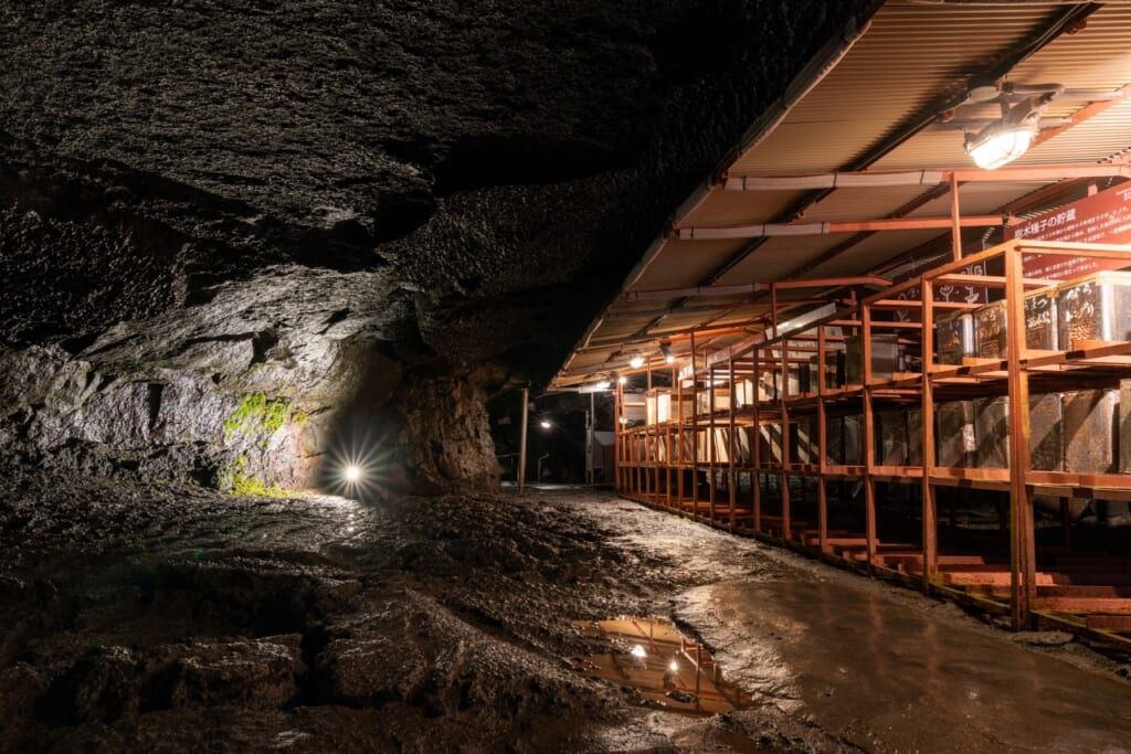 Fugaku Wind Cave in Yamanashi