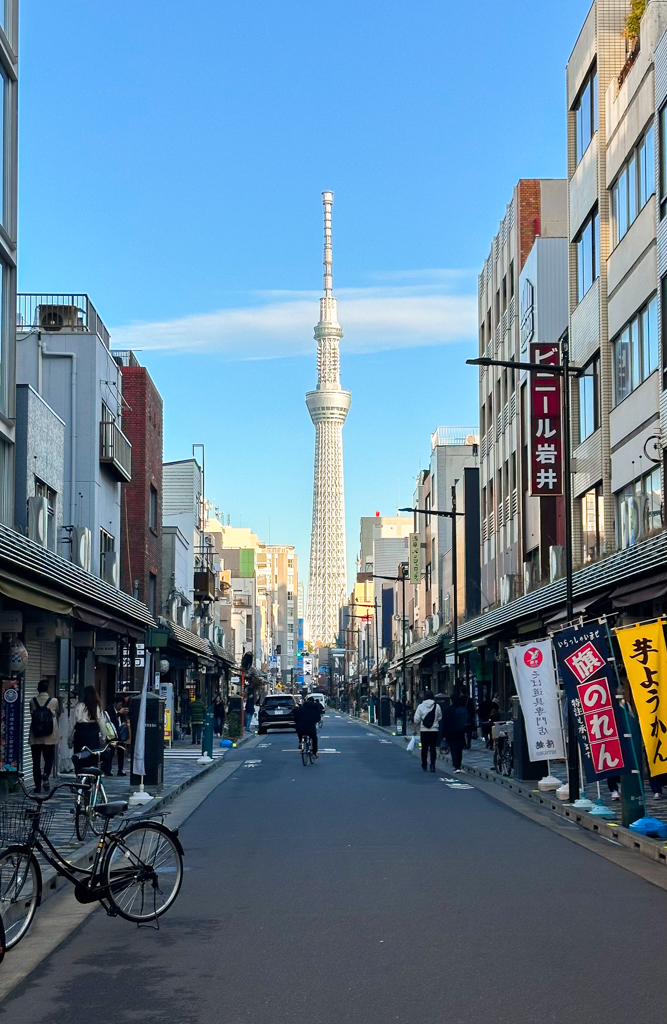 Views from Skytree from Kappabashi street