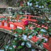 Japanese red bridge