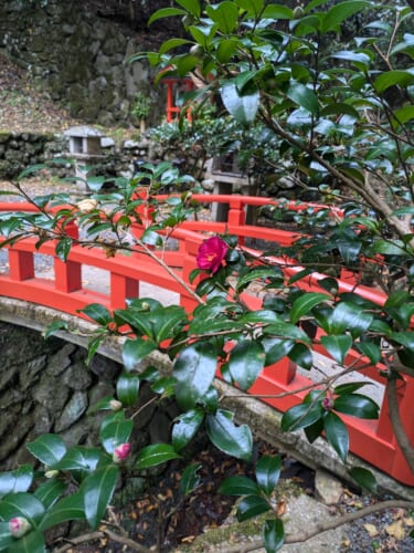 Japanese red bridge