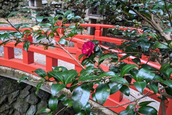 Japanese red bridge