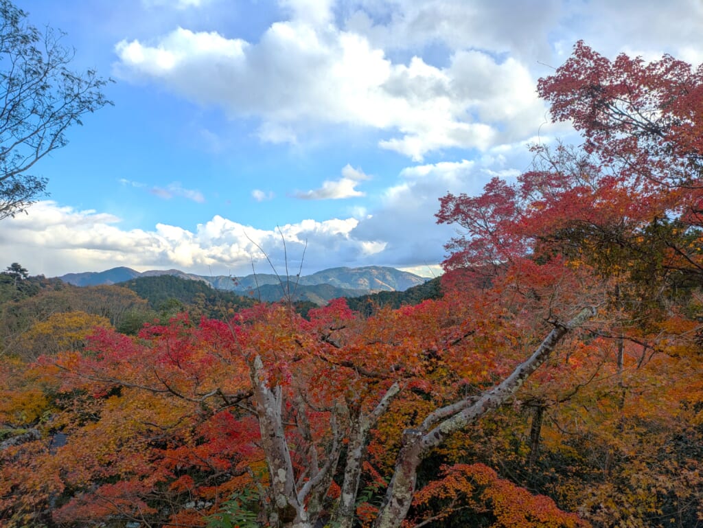 Views from Kurama in autumn