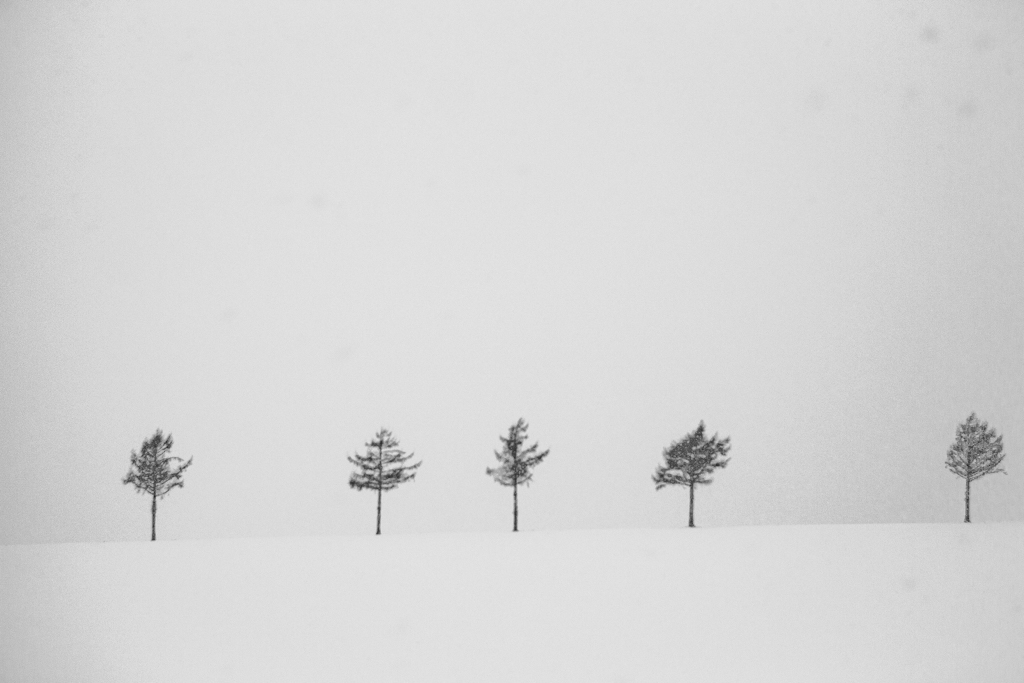 Eastern Hokkaido on a Winter’s Day