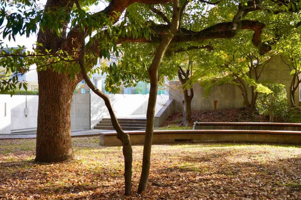 The peace memorial park in Hiroshima as a loction of Drive my car