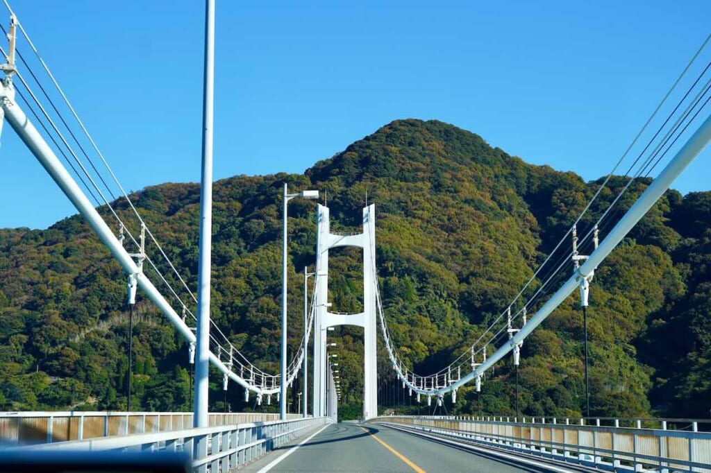 One of the bridges that the main character of Drive my car crosses