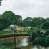 East Tokyo: Kyosumi Garden