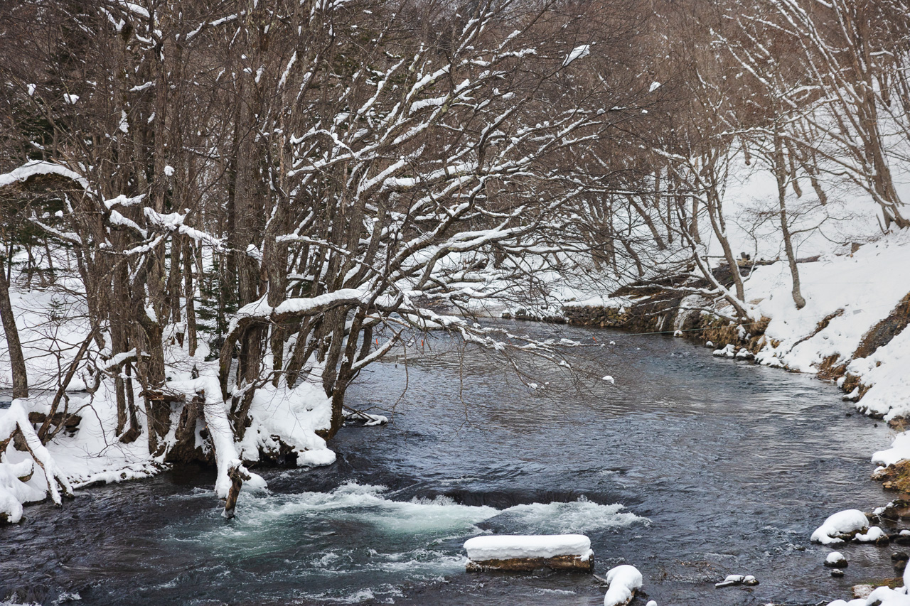 Exploring Eastern Hokkaido in Winter: A 4-Day Journey Through Kushiro, Akan-Mashu, and Beyond