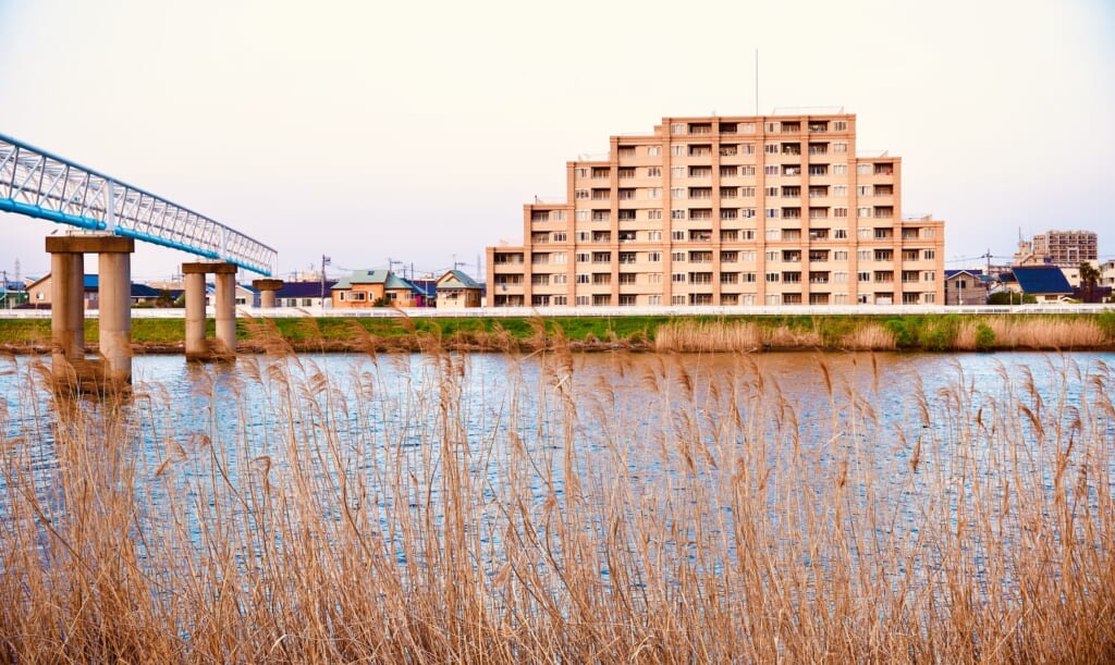 Nakagawa riverside, one of Shoplifters locations in Tokyo