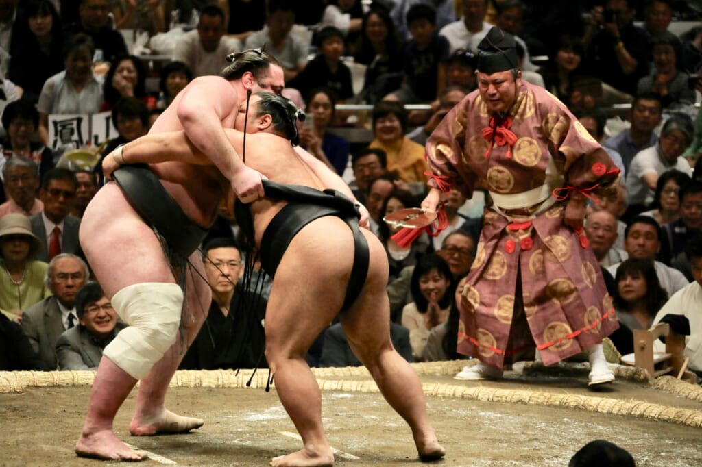 sumo in japan