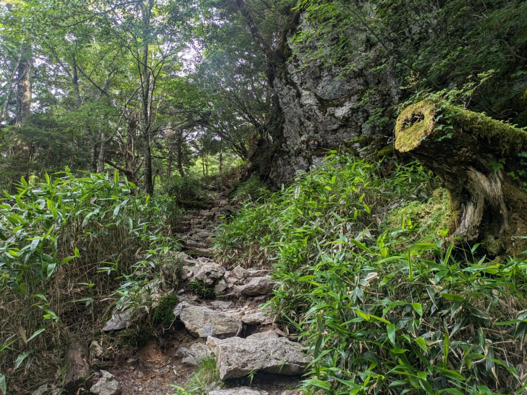 Hiking Mount Tsurugi in Tokushima, Shikoku
