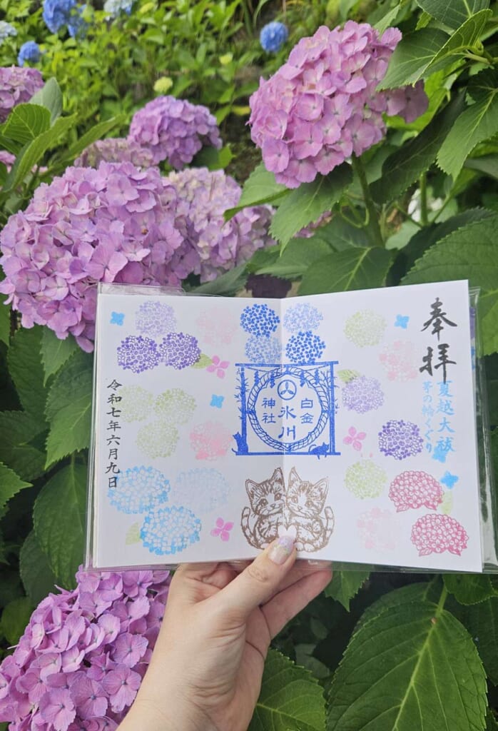 Hydrangea goshuin in Tokyo