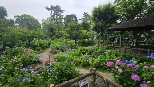 My Japan: Work, Sweets, and Seasonal Events
