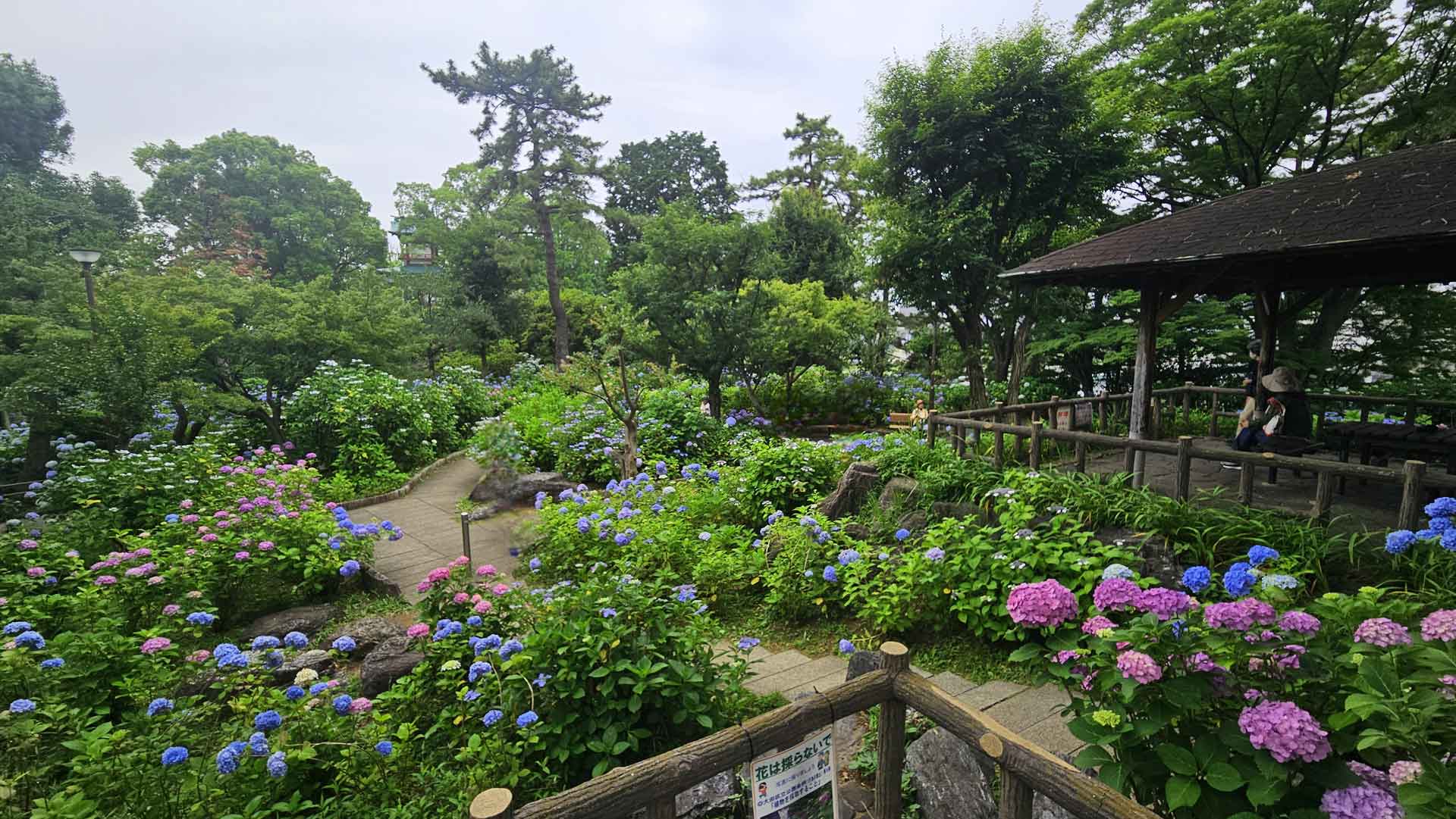 My Japan: Work, Sweets, and Seasonal Events