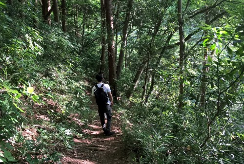 Sentier de randonnée au mont Takao près de Tokyo