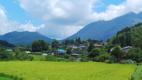 Sur la route pour la montagne de Tsukahara proche de Yufuin sur l'île de Kyushu