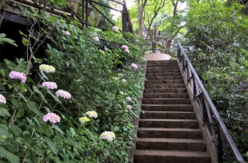 Escalier bordé de fleurs dans le parc minatonomieruoka de yokohama