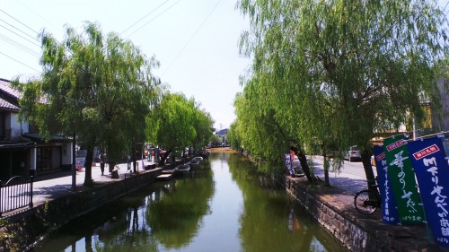 Saules bordant les canaux de la ville de Yanagawa