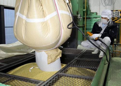 Fabrication du Hatcho Miso dans une manufacture traditionnelle d'Okazaki, Japon.