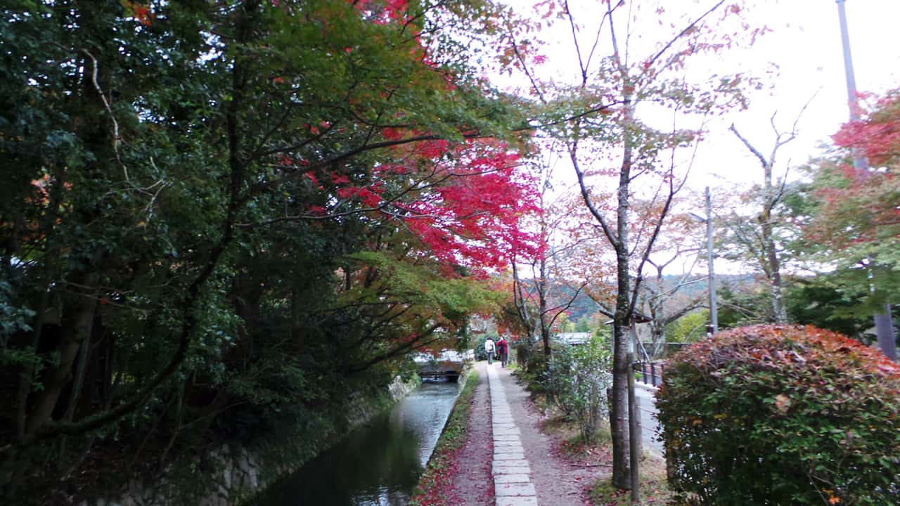 Visite gratuite à Kyoto : le Tetsugako-no-Michi ou chemin de la philosophie.