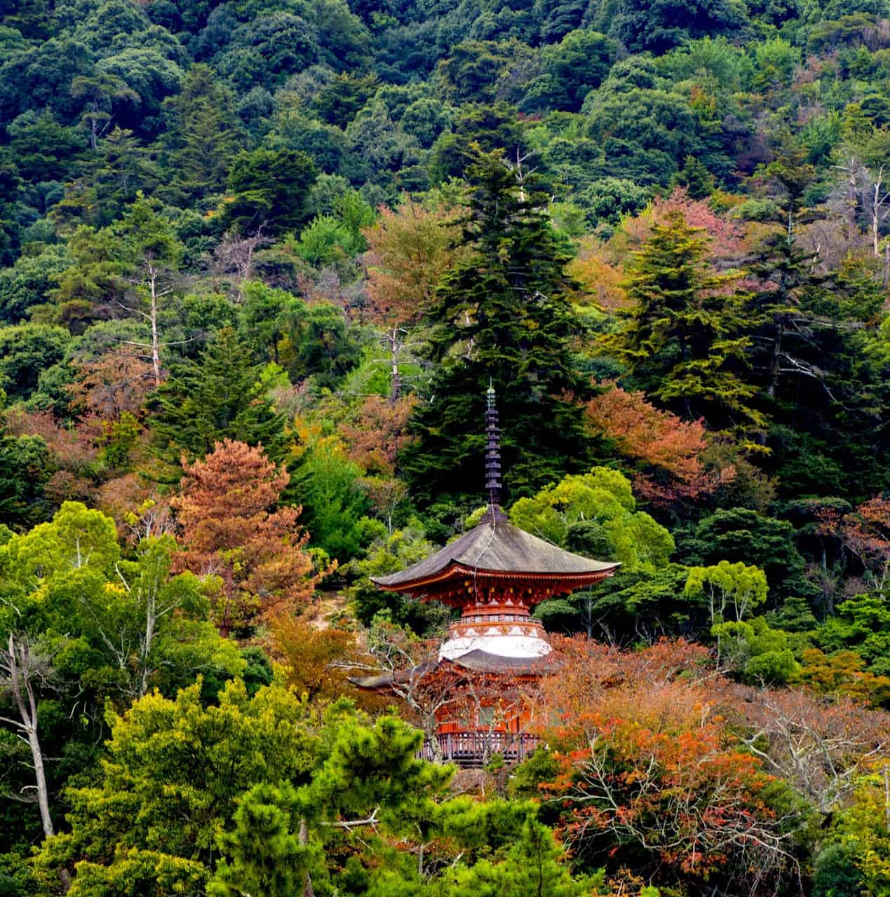 L’île de Miyajima en automne, la saison du koyo