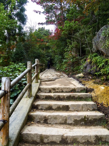 Chemin de randonnée du mont Misen sur l'île de Miyajima, Japon.