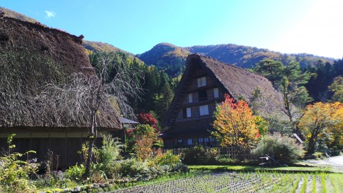 Les maisons gasshō-zukuri de Shirakawa-gō dans les Alpes japonaises, Gifu, Japon.