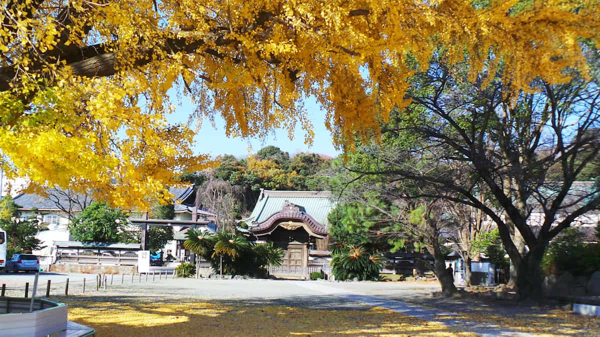 Le temple Yugyo-ji de Fujisawa : un lieu chargé d’histoire pourtant inconnu