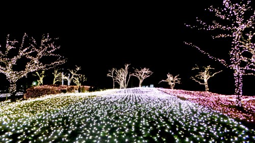 Illuminations d'hiver de l'île d'Enoshima près de Tokyo, Japon.