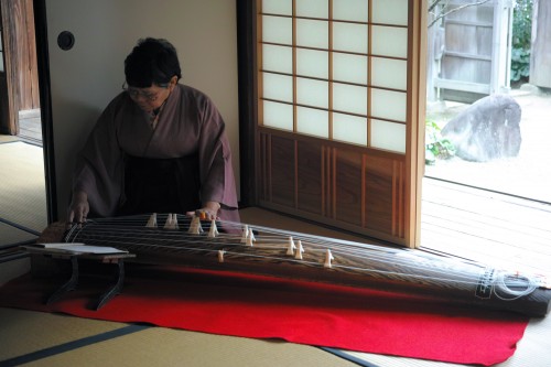 Musicienne jouant du koto pendant une cérémonie du thé, Izumi, Kyushu, Japon.