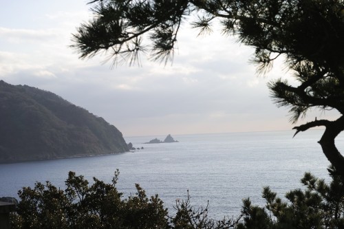 Vue du parc Koganezaki dans la péninsule d'Izu, Shizuoka.