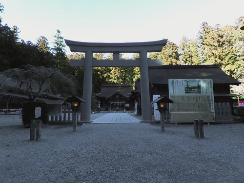 Le torii du sanctuaire Okuni Jinja, le "petit Kyoto" d'Hamamatsu, Shizuoka.