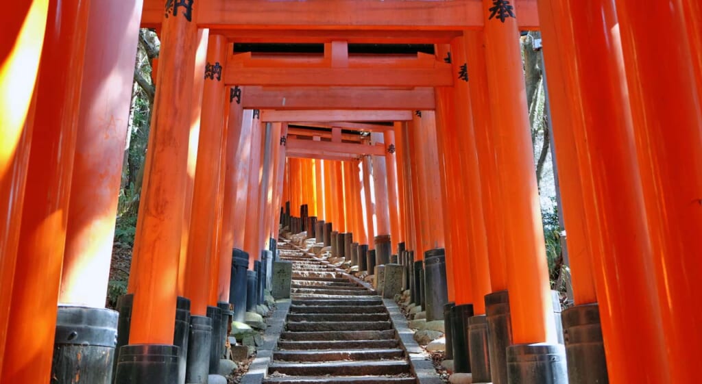 Les célèbres torii de Kyoto