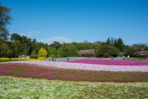 Le jardin Tobu Treasure Garden à Tatebayashi dans la préfecture de Gunma
